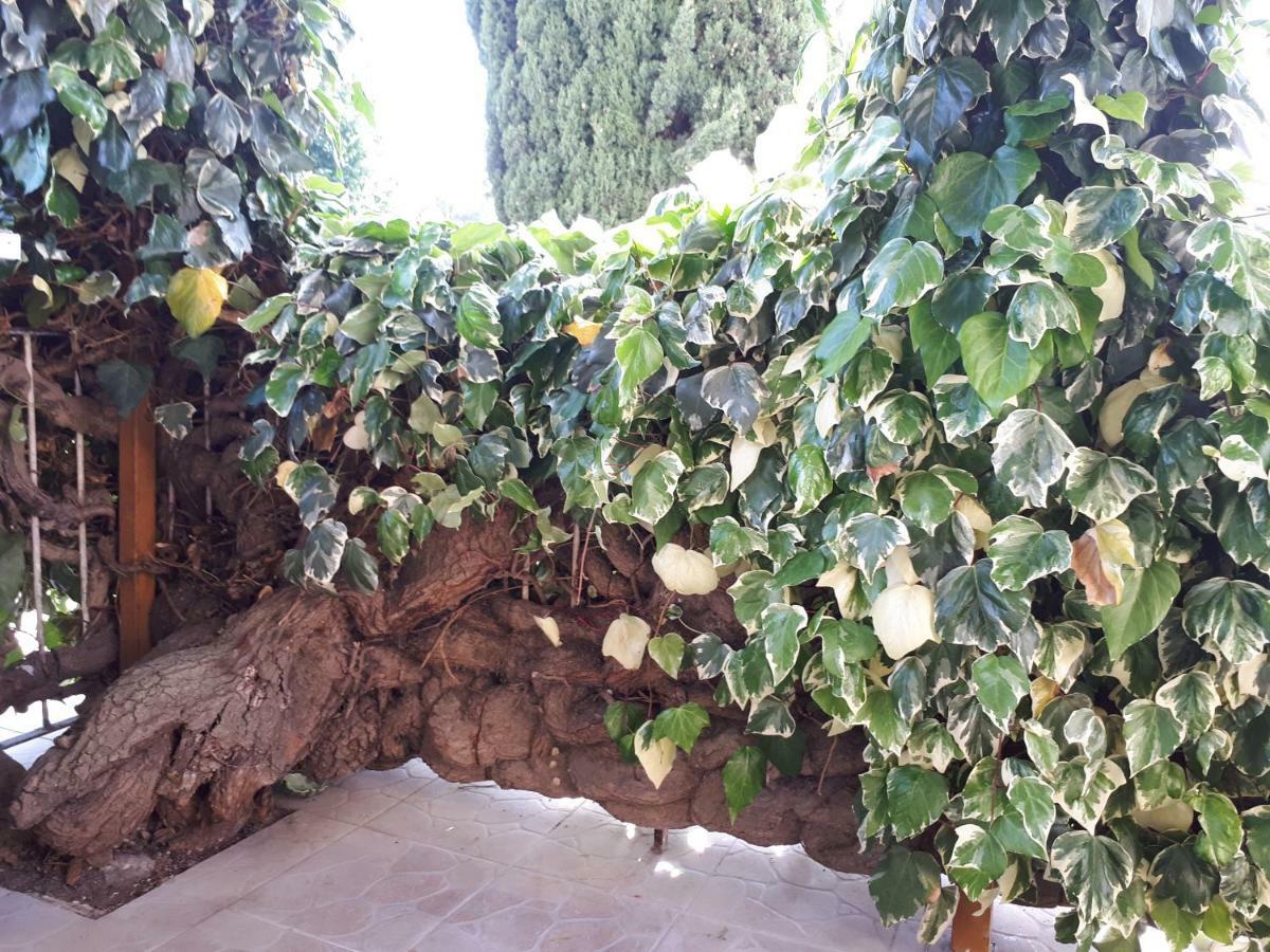 Hotel La Mia Resilienza Nei Sassi Di Matera Zewnętrze zdjęcie